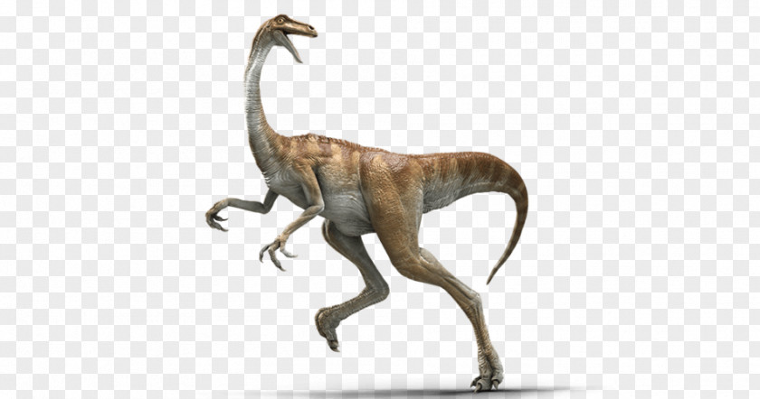 Jurassic Park Gallimimus Baryonyx Velociraptor Parasaurolophus Ankylosaurus PNG