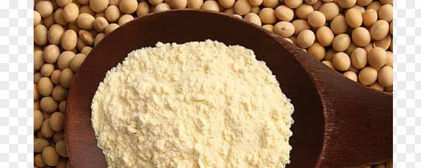 Milk Soy Protein Soybean PNG