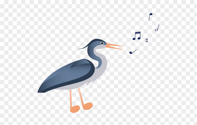 Stork Water Bird Beak Wader PNG