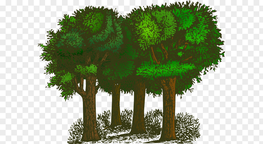 Transparent Tree Cliparts Forest Clip Art PNG