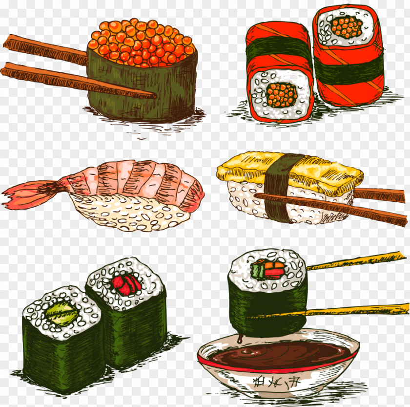 Vector Sushi Painting California Roll Japanese Cuisine Sashimi PNG