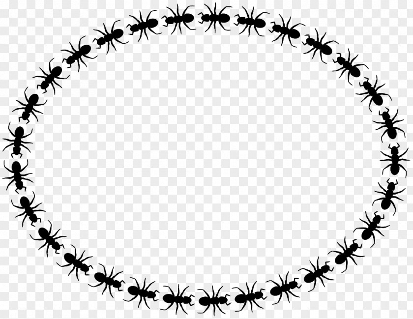 Black Garden Ant Clip Art Vector Graphics Carpenter PNG