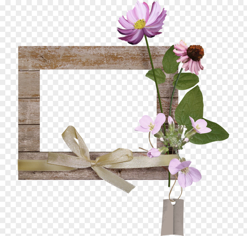 Flower Purple Picture Frames PNG
