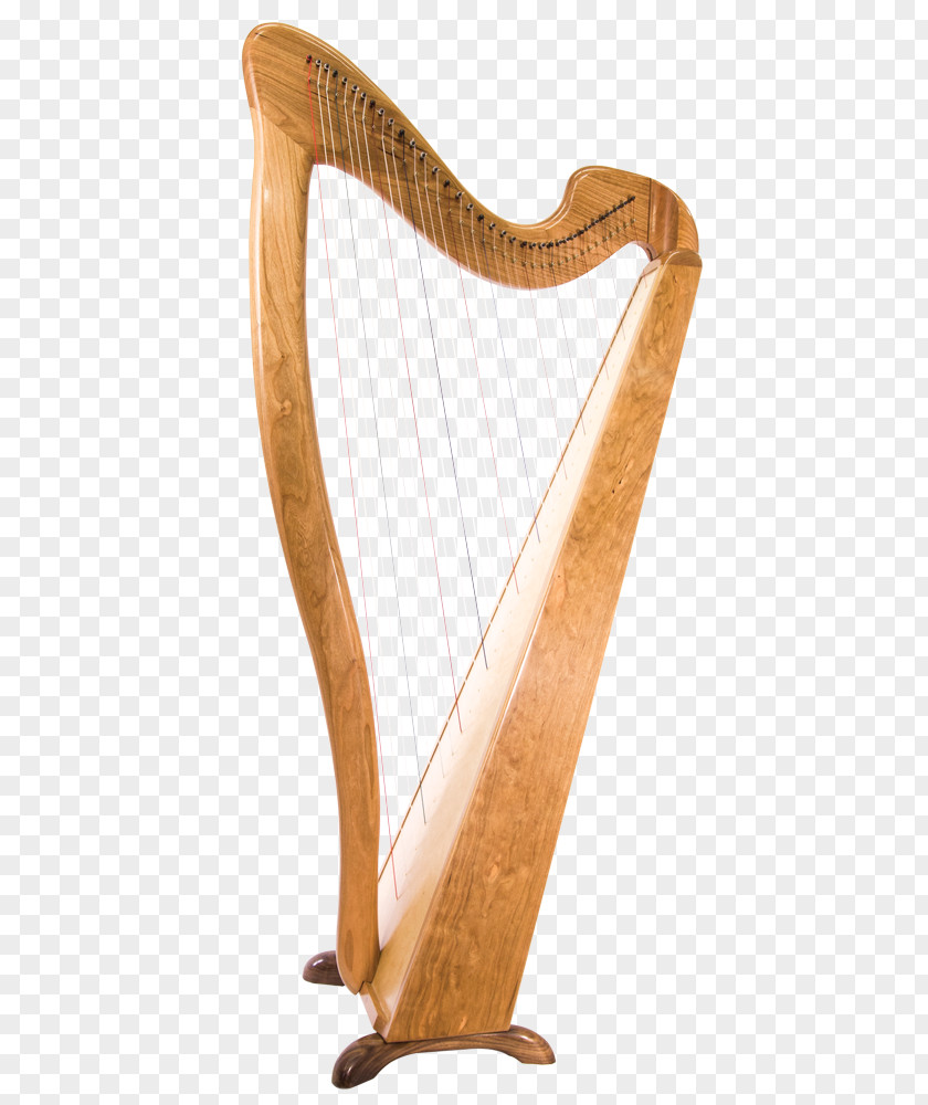 Harp Konghou Home Affordable Refinance Program Lyre Musical Instruments PNG