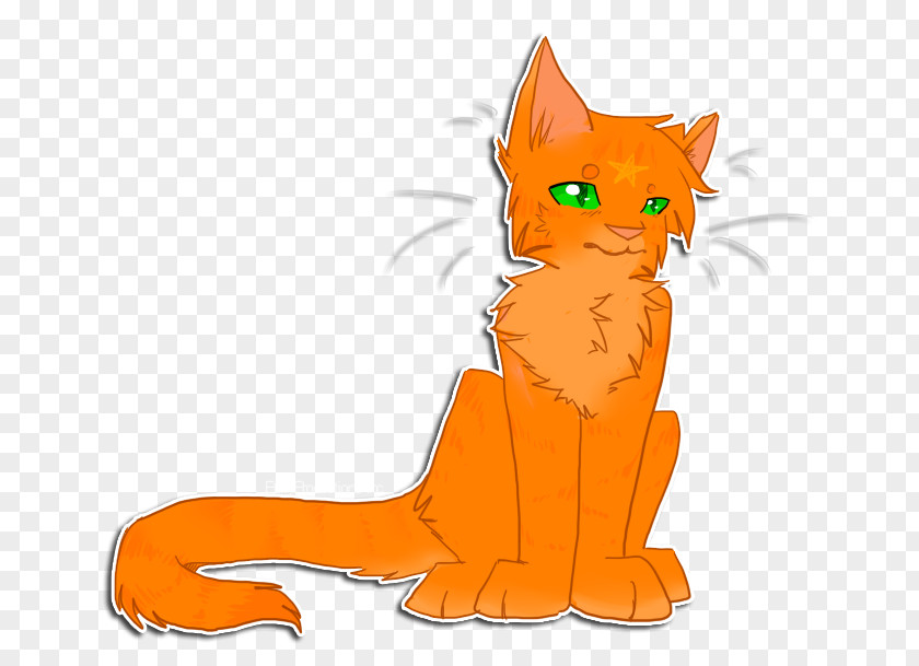 Kitten Whiskers Red Fox Cat Dog PNG