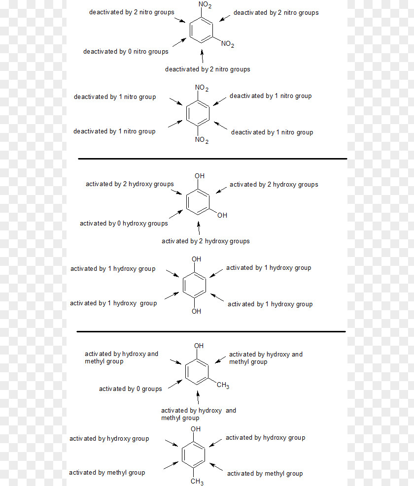 Line Point Angle Document Organism PNG