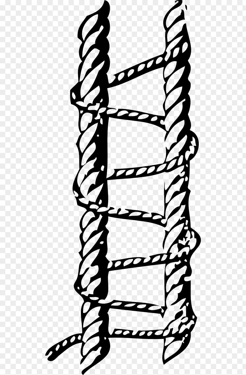 Rope Seizing Knot Clip Art PNG