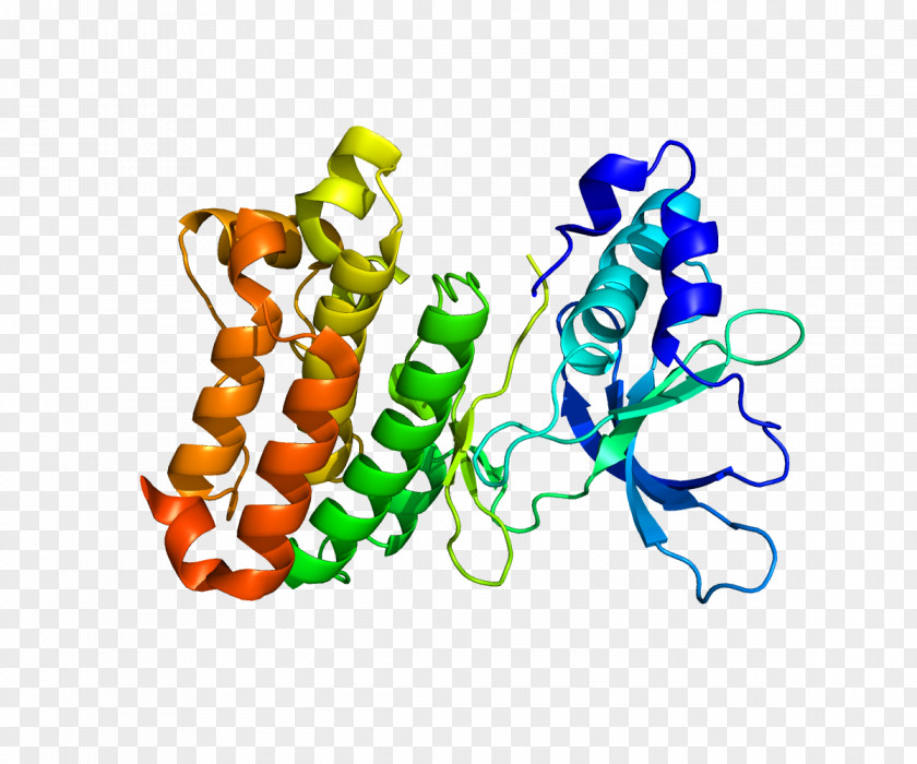 Tridimensional Protein EPHA7 Ephrin Receptor EPH A2 PNG
