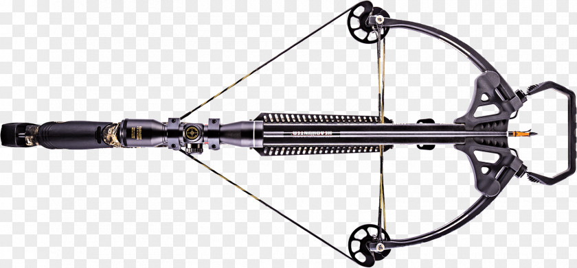 Archery Puppies Crossbow Hunting Bow And Arrow Compound Bows PNG