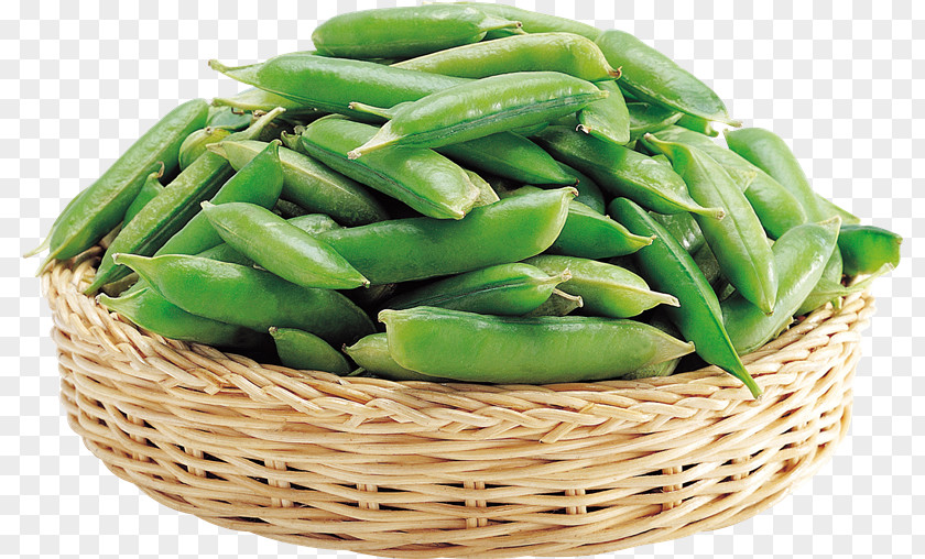 Mf Green Bean Pea Clip Art PNG