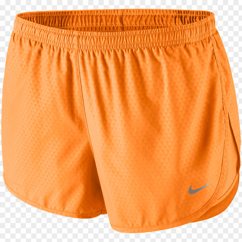 Nike Swim Briefs Shorts Tights Underpants PNG