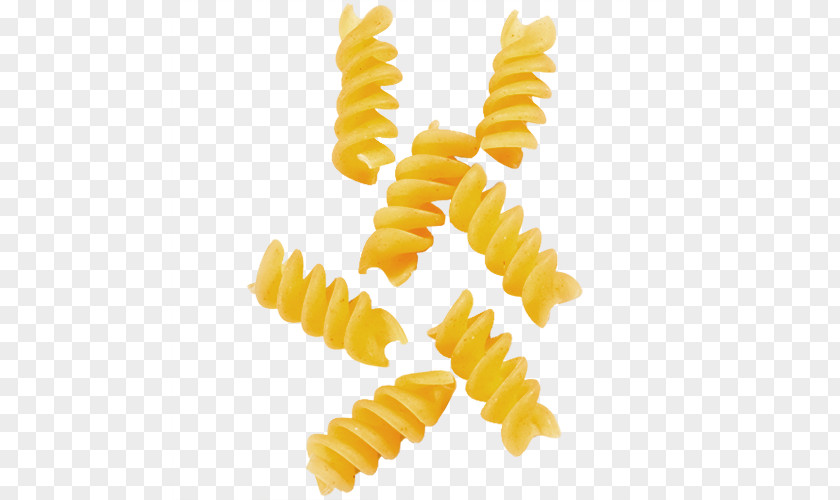 Pasta PNG clipart PNG