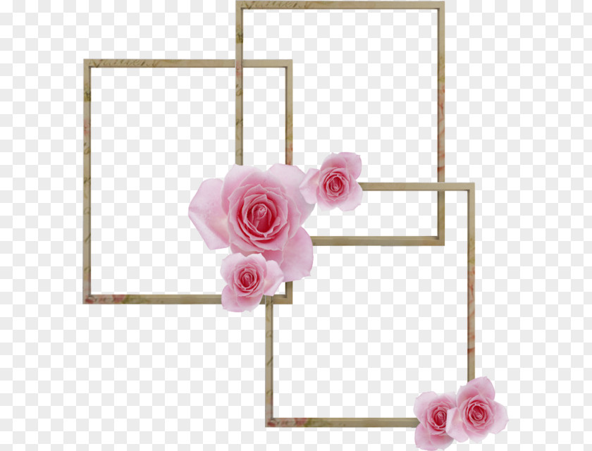 Rose Plant Flowers Background PNG