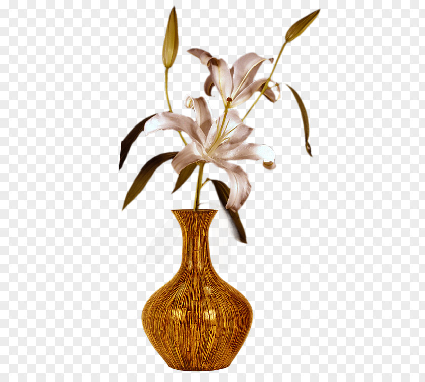 Vase Cut Flowers Blog Still Life Photography PNG