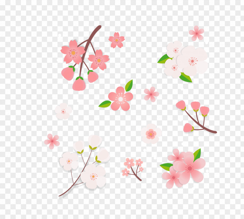 Vector Color Cherry Blossom Decorative Pattern Japan Pink Clip Art PNG