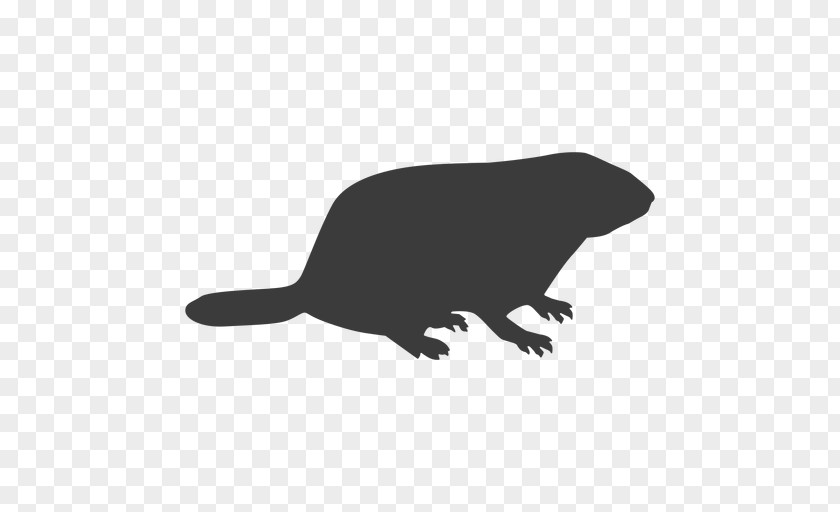 Claw Tail Beaver Cartoon PNG