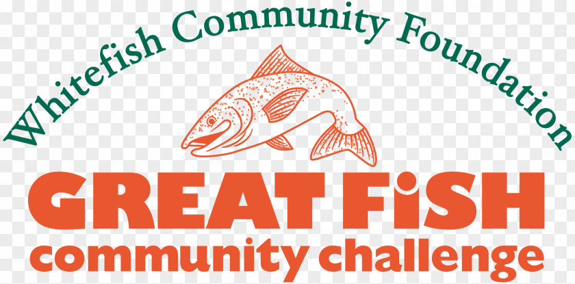 Community Foundation Non-profit Organisation Whitefish PNG