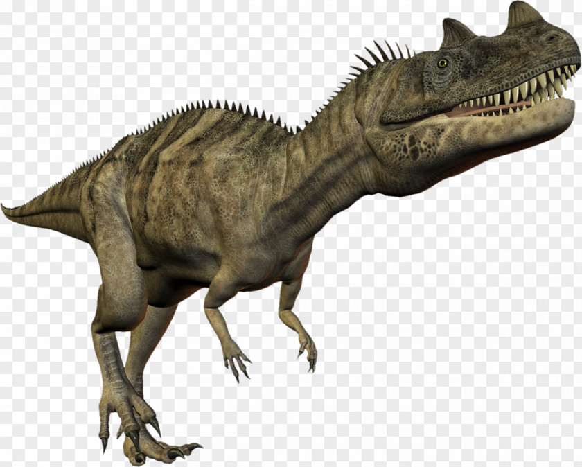 Dinosaur Tyrannosaurus Display Resolution PNG