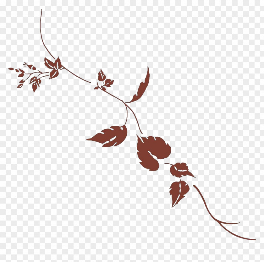 Falling Leaves Leaf Vine Illustration PNG