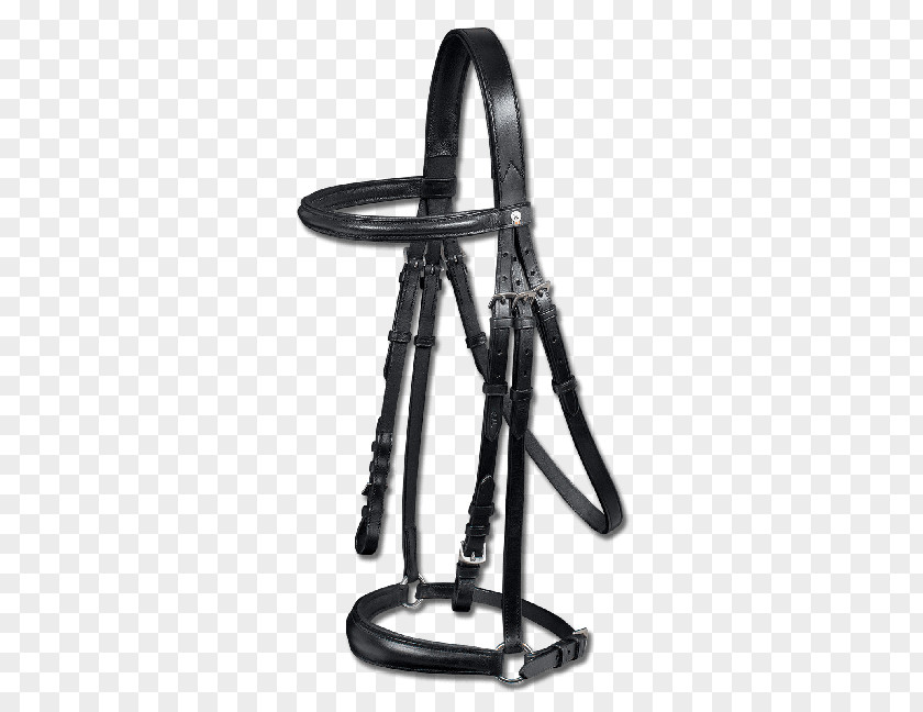 Horse Bit Bridle Equestrian Leather PNG