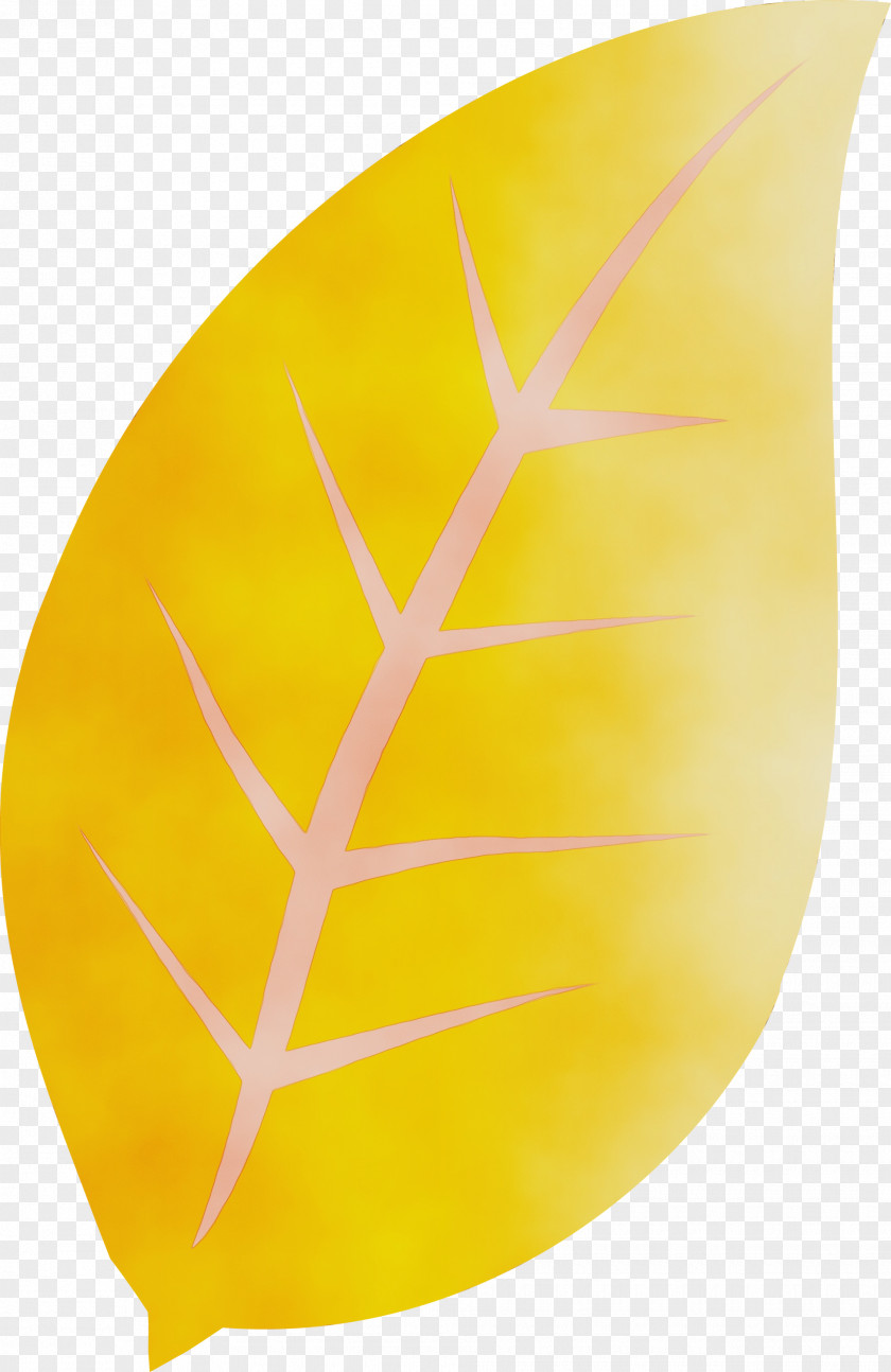 Leaf Commodity Yellow Plants Biology PNG