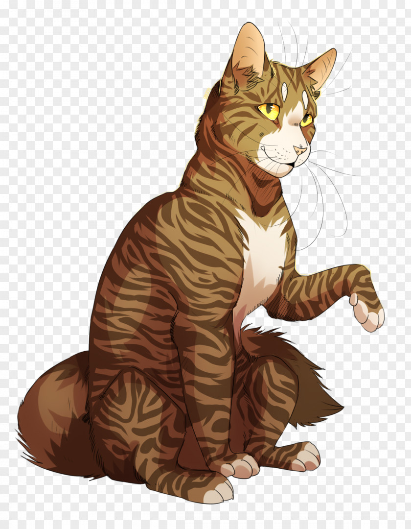 Reverse Cat Calling Super Edition Series Leafpool Drawing Kitten PNG