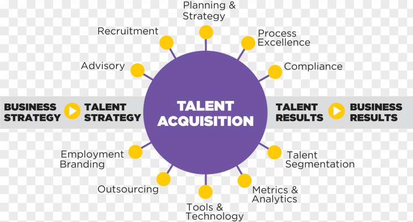 Talent Recruitment Human Resources Consultant Organization Resource Management PNG