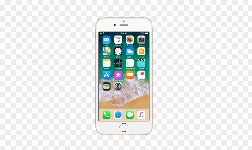 Apple IPhone 6S 7 4 8 Plus PNG