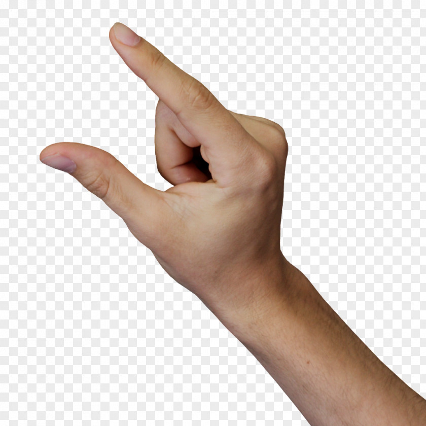 Finger Physical Map Thumb Digit Arm PNG