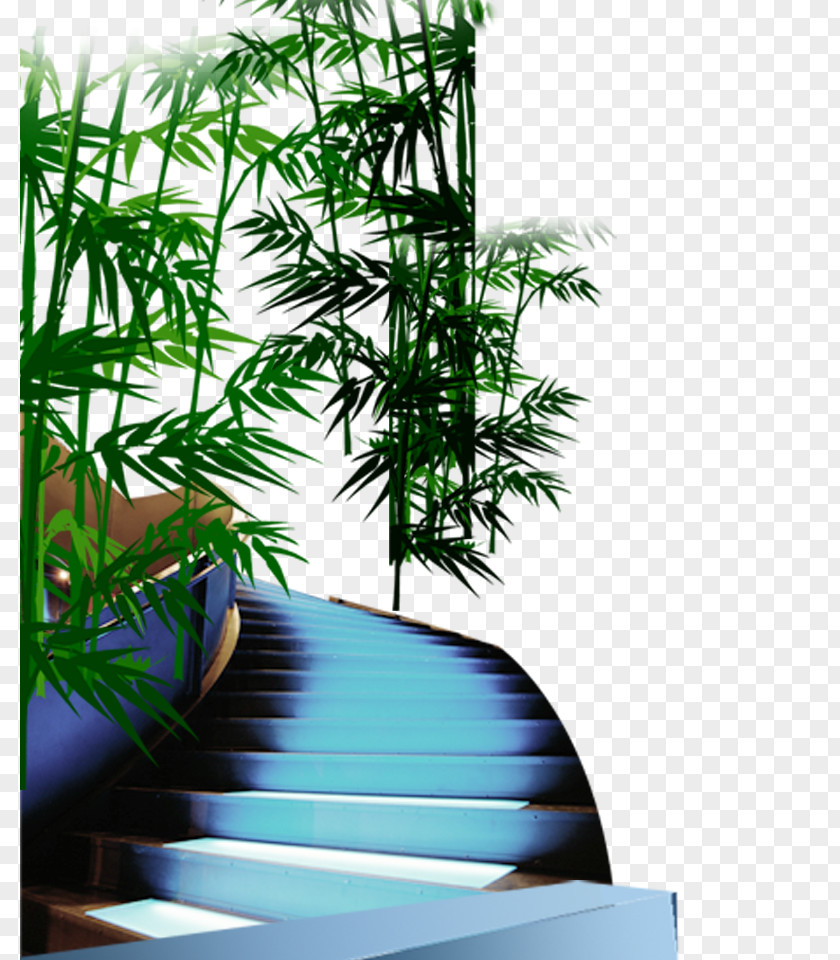 Stairs Icon PNG