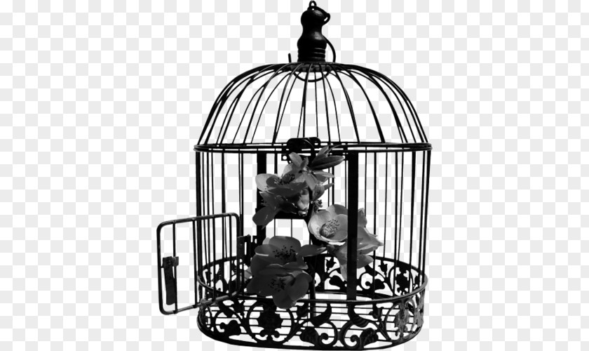 Cage Bird Wire PNG