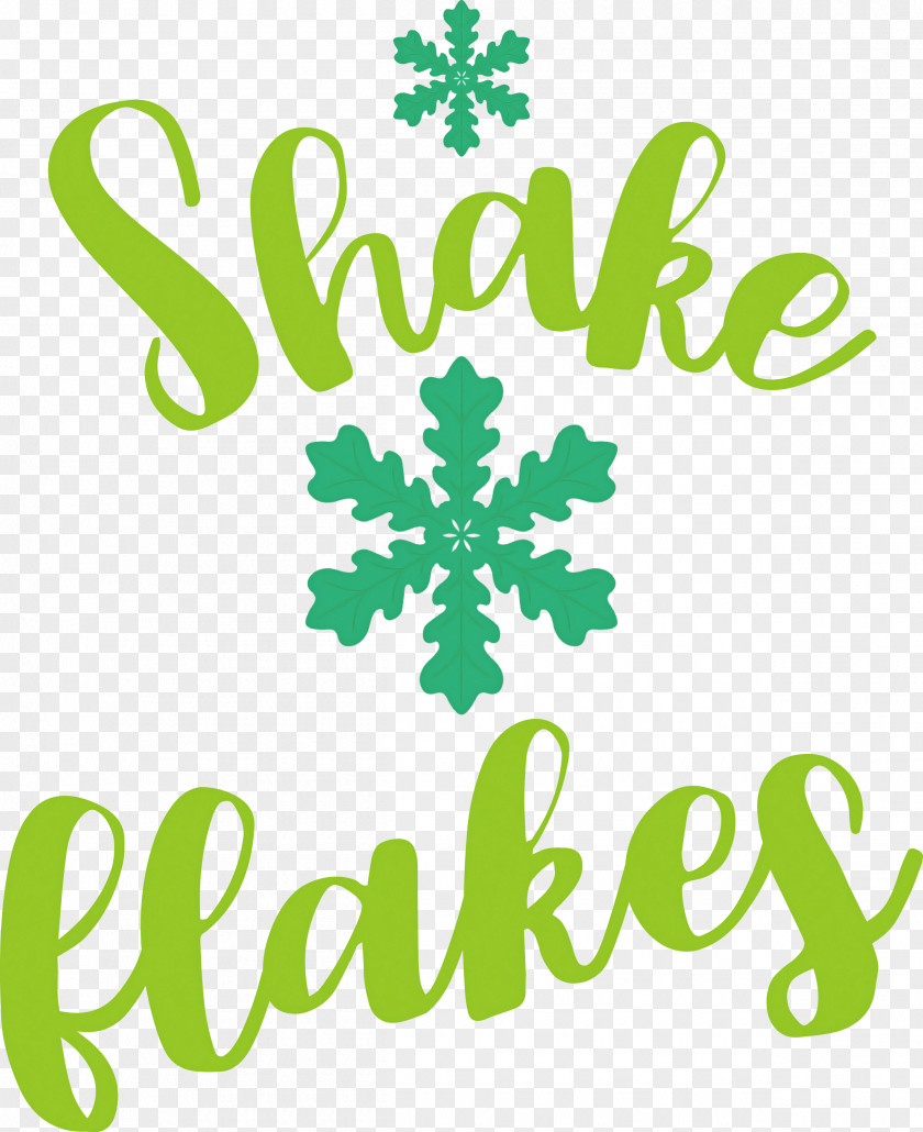 Shake Snow Flakes PNG
