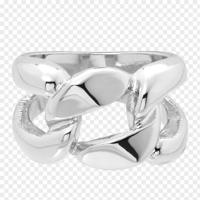 Silver Ring Earring Lapel Pin Bitxi PNG