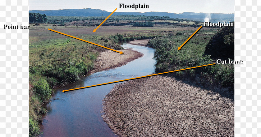 Amazon River Morphology Deposition Fluvial Sediment Point Bar PNG
