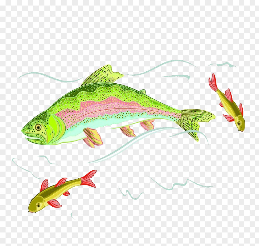 Cartoon Fish Euclidean Vector Illustration PNG