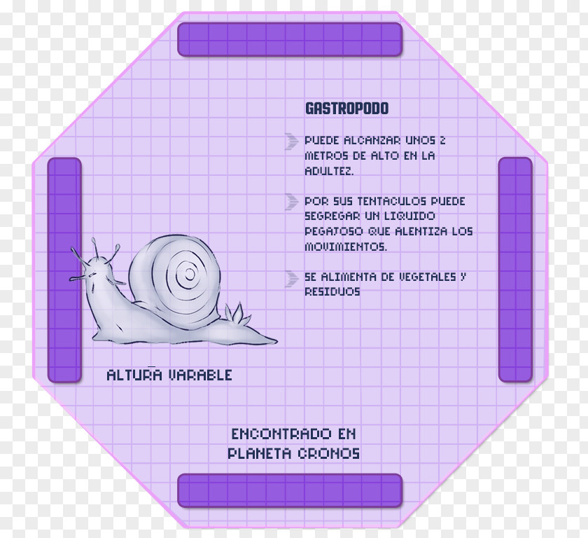 Gastropod Paper Font Product PNG