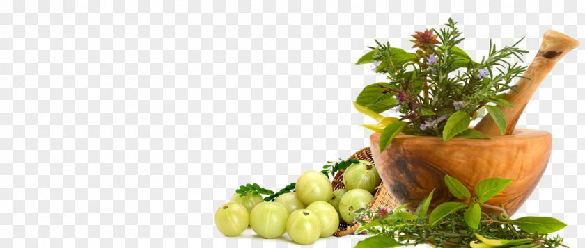 Health Ayurveda Herb Medicine Dietary Supplement PNG