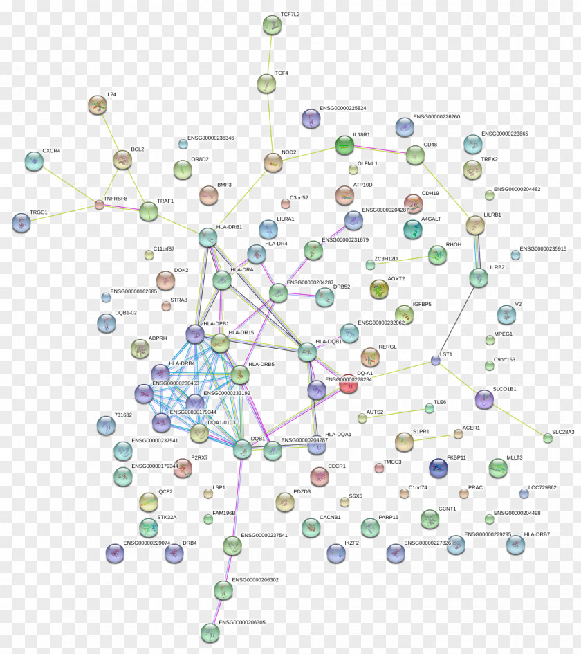 Line Point Diagram PNG