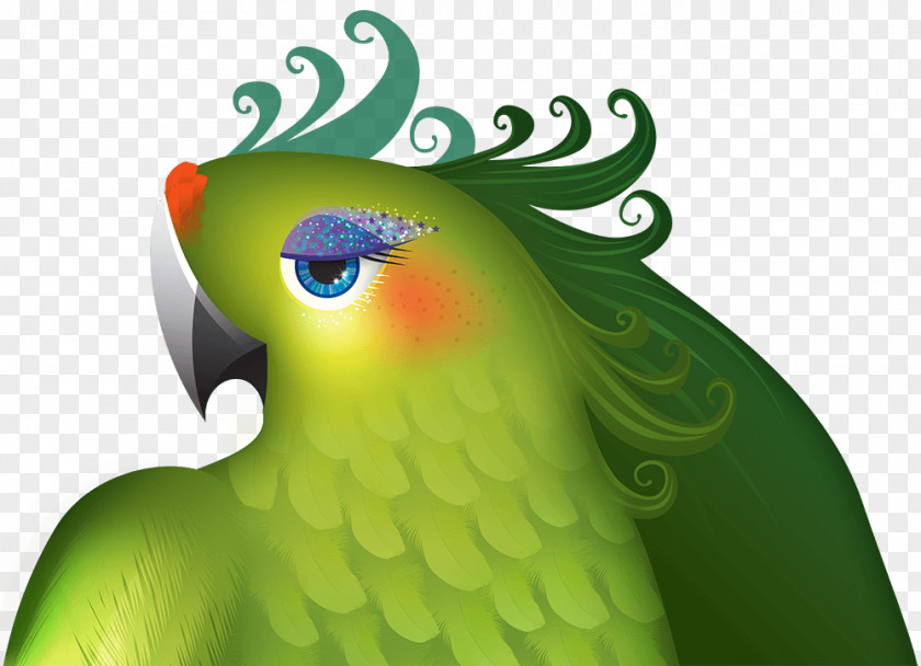 Love Birds Macaw Parrot Edinburgh Festival Fringe PNG