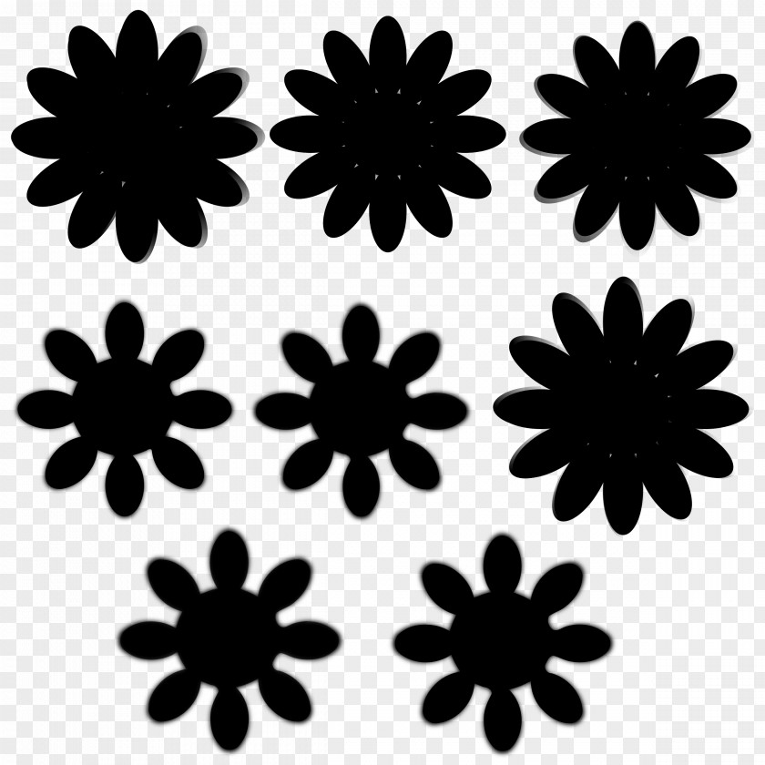 Pattern Symmetry Daisy Family Common Black M PNG
