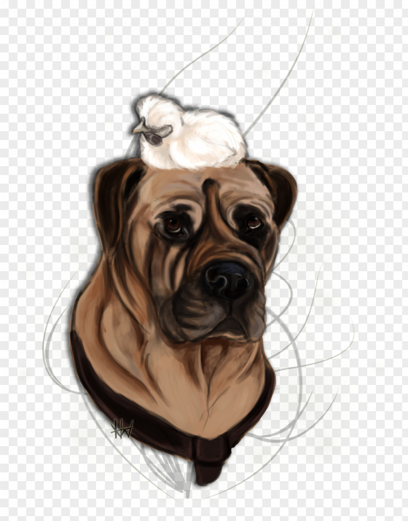 Puppy Dog Breed Pug Bullmastiff Snout PNG