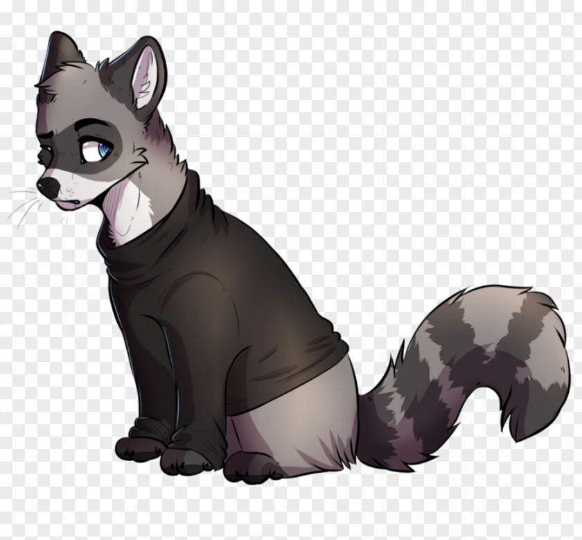 Cute Raccoon Whiskers Dog Cat Fur Snout PNG