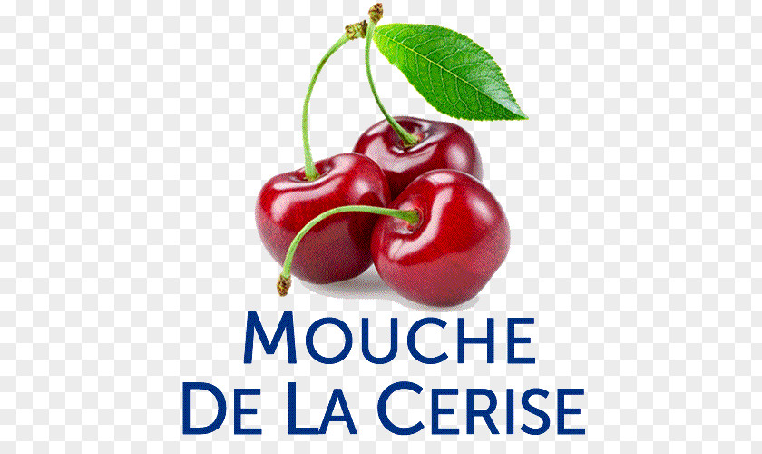 La Mouche Des Fruits Barbados Cherry Superfood Nutraceutical Diet Food PNG