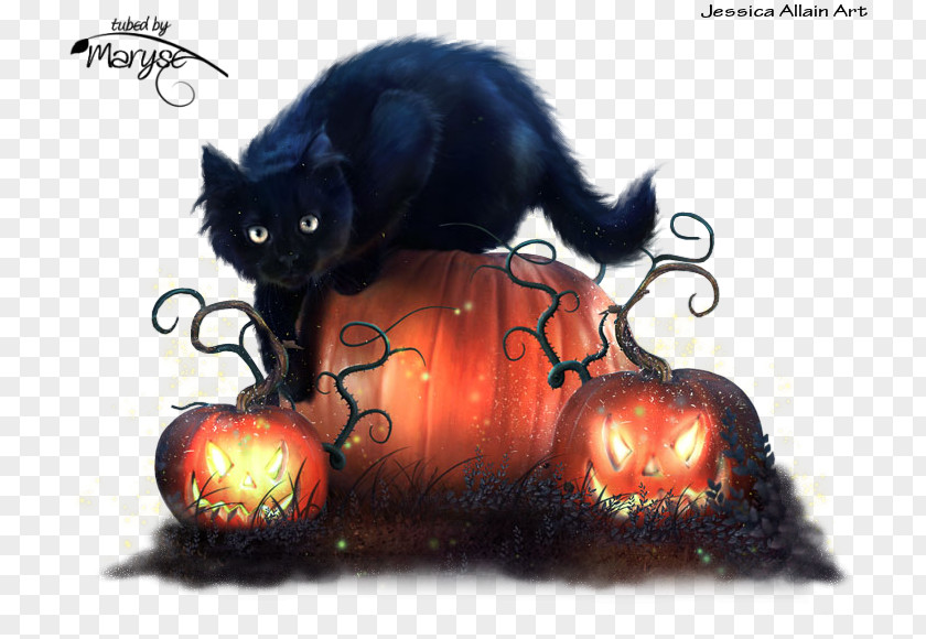 Mr. Cat Halloween Kitten Image Trick Or Treachery PNG