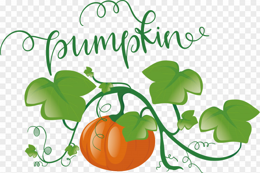 Pumpkin PNG