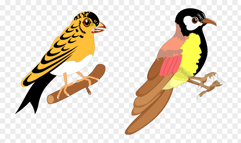 Birds Animation Bird Vector Graphics Illustration Design Download PNG