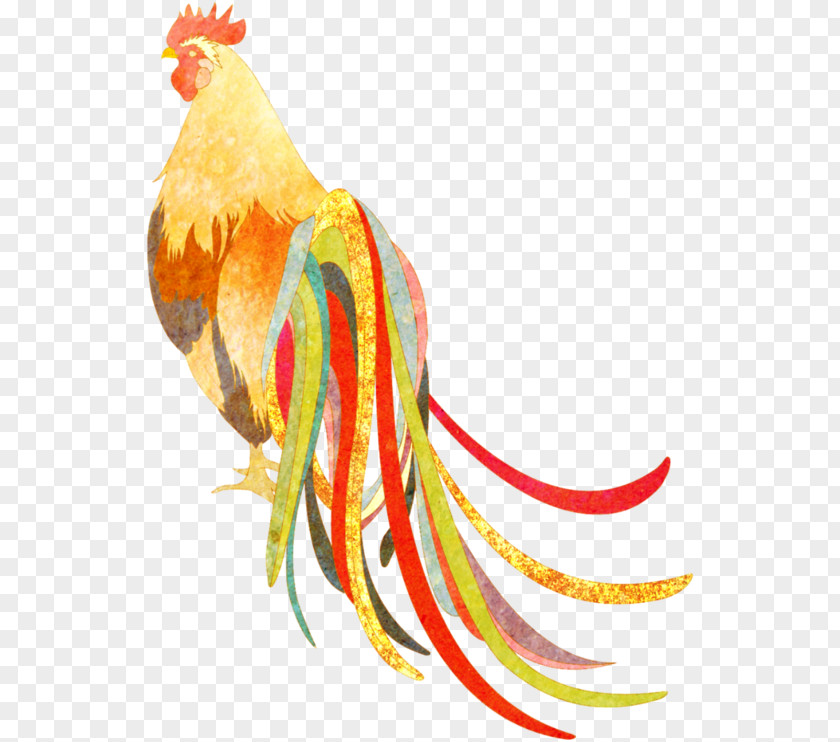 Feather Rooster Beak Clip Art PNG