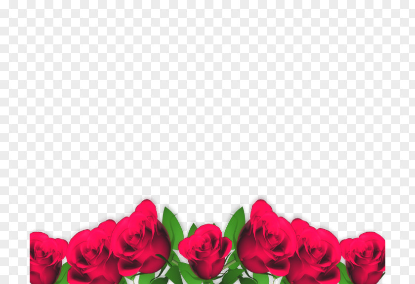 God Blessing Greeting Garden Roses Day PNG