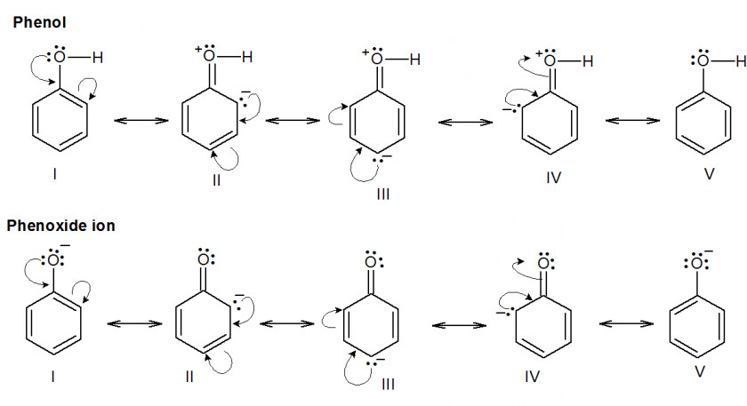 Living Polymerization Chain Walking Monomer Ethylene PNG