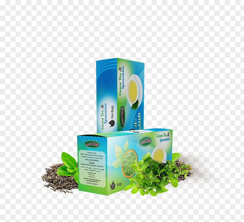 Tea Green Bag Blending And Additives Mentha Spicata PNG